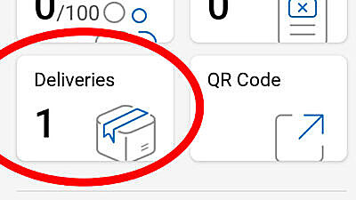 Mail Delivery Icon Mobile